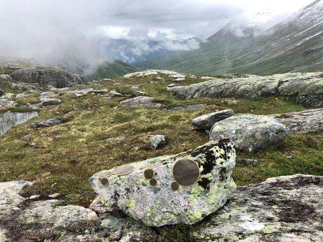 Symbiosis 2 Norway
