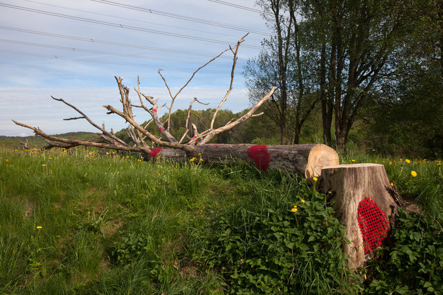 For the exhibition Gothenburg Green World mended dead tree with yarn. Mölndal, Sweden 2016.