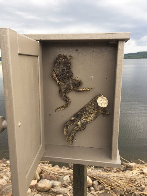 Cabinet of natural (Sjuhäradsrundan) memories