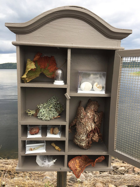 Cabinet of natural (Sjuhäradsrundan) memories