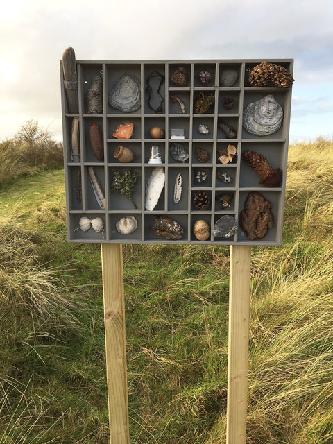 Cabinet of natural (Ameland) memories