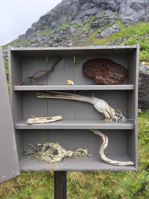 Cabinet of natural (Rauma) memories, 2017
