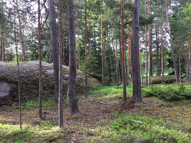 Mended trees