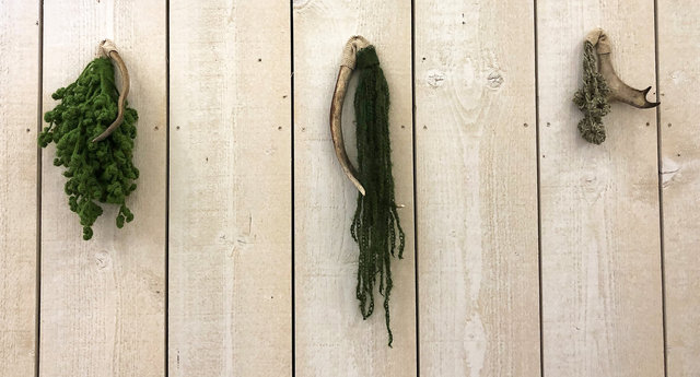 To root
