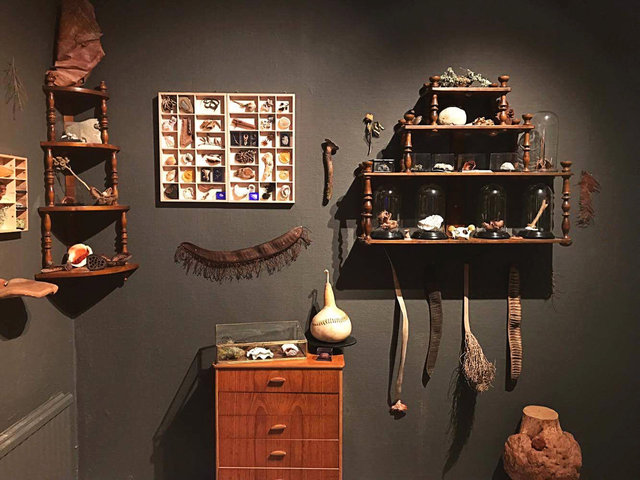 Cabinet of natural memories