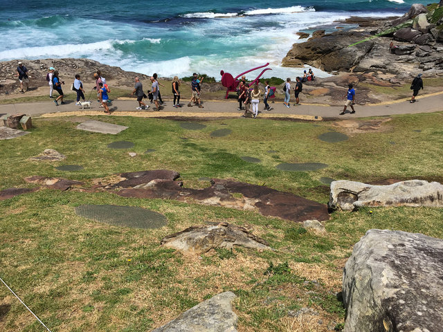 Work for Sculpture by the sea, 2016, Bondi, Sydney, Australia. Yarn, thule fabric and flower staples.
