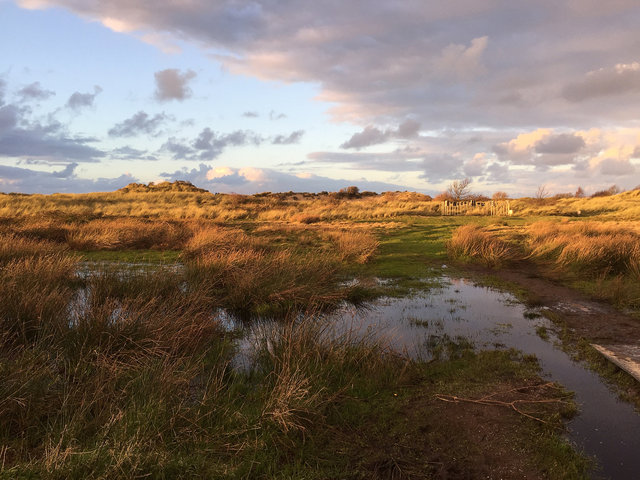 Cabinet of natural (Ameland) memories