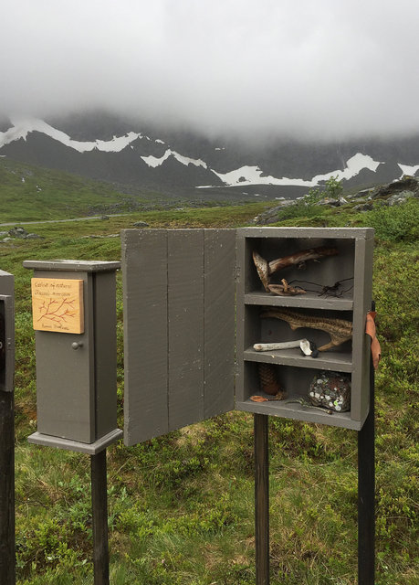 Cabinet of natural (Rauma) memories, 2017