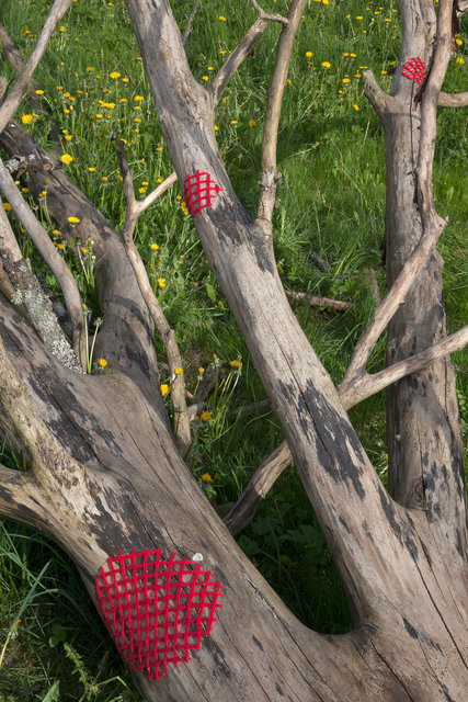 For the exhibition Gothenburg Green World mended dead tree with yarn. Mölndal, Sweden 2016.
