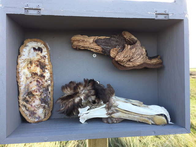 Cabinet of natural (Ameland) memories