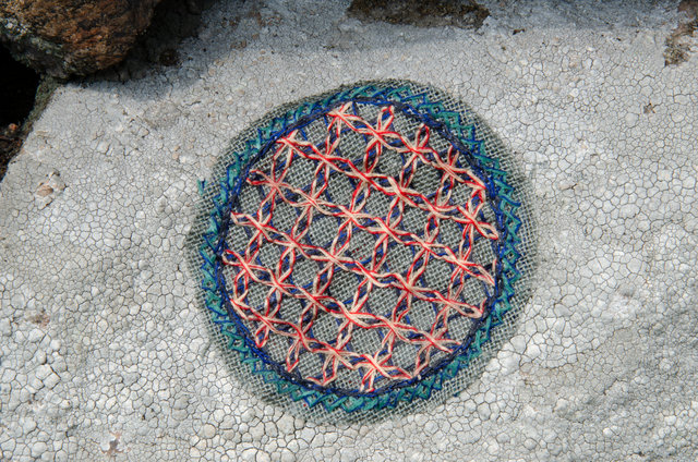 Symbiosis in Hallandsöm
