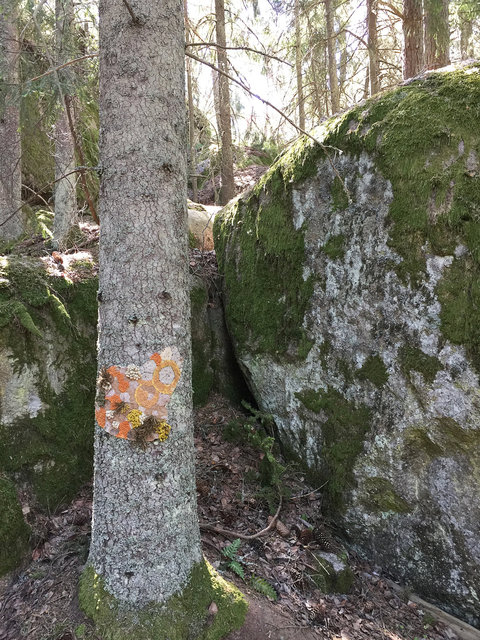 Symbiosis