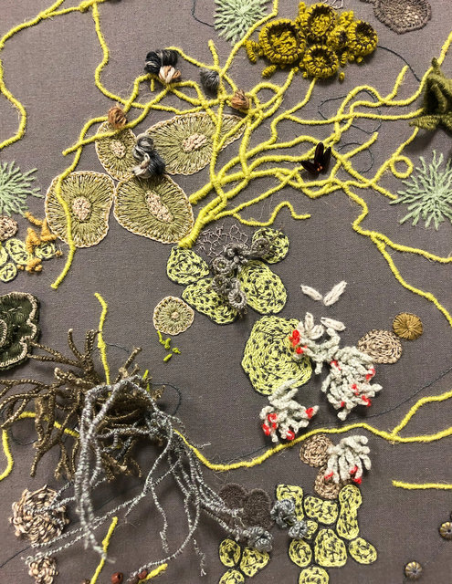 Symbiosis