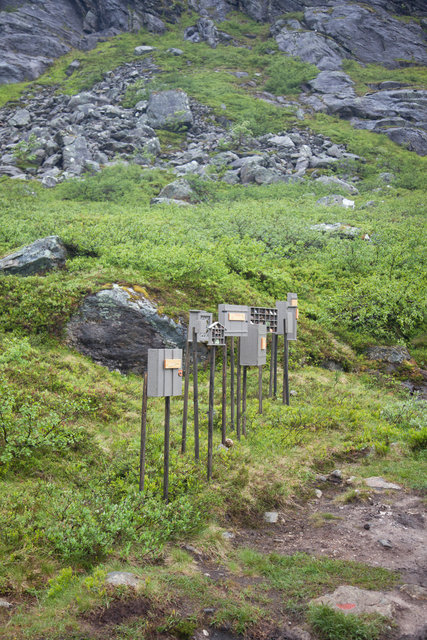 Cabinet of natural (Rauma) memories, 2017