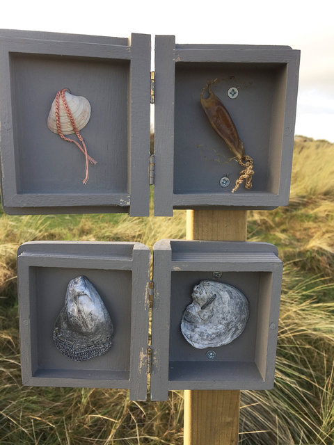 Cabinet of natural (Ameland) memories