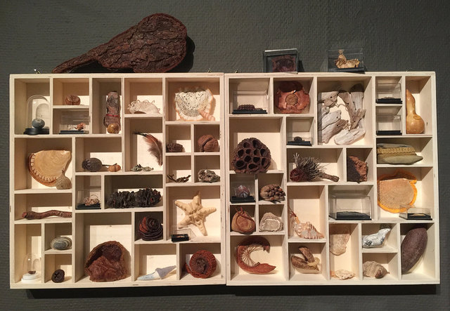 Cabinet of natural memories