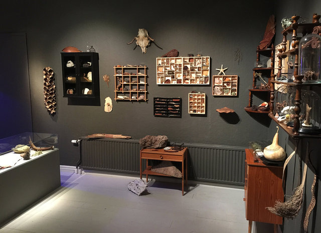 Cabinet of natural memories