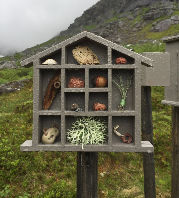Cabinet of natural (Rauma) memories, 2017