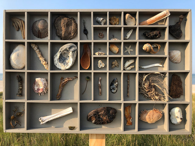 Cabinet of natural (Vadehavet) memories