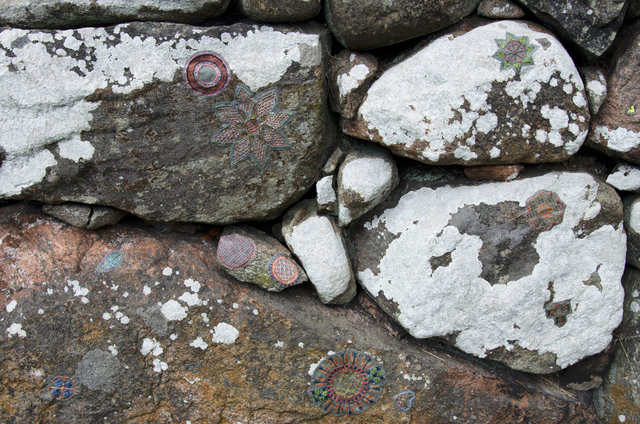 Symbiosis in Hallandsöm