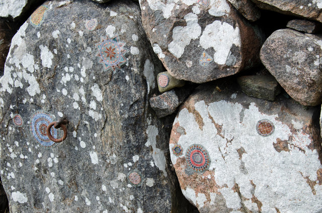 Symbiosis in Hallandsöm
