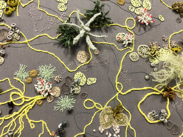 Symbiosis