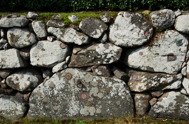 Symbiosis in Hallandsöm