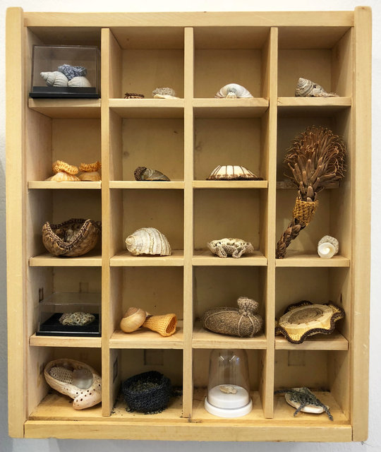 Cabinet of natural memories
