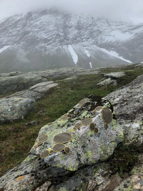 Symbiosis 2 Norway