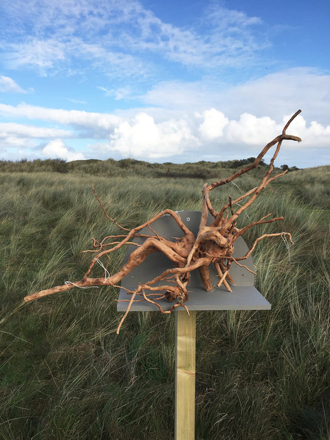 Cabinet of natural (Ameland) memories