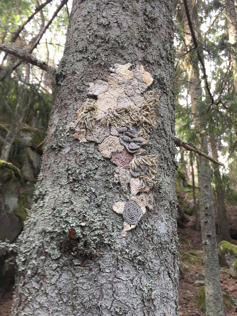 Symbiosis