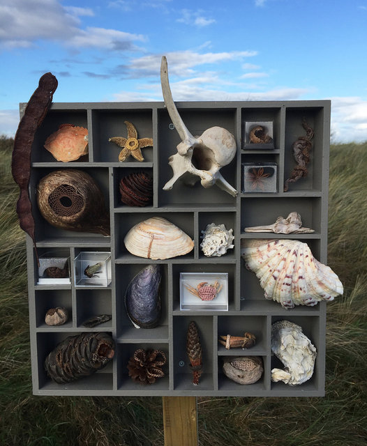Cabinet of natural (Ameland) memories