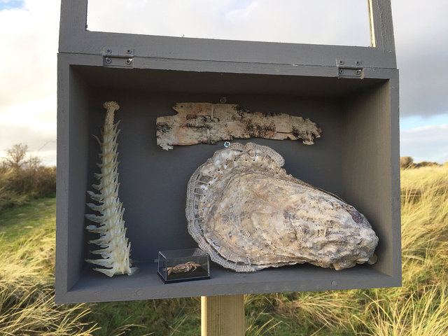 Cabinet of natural (Ameland) memories
