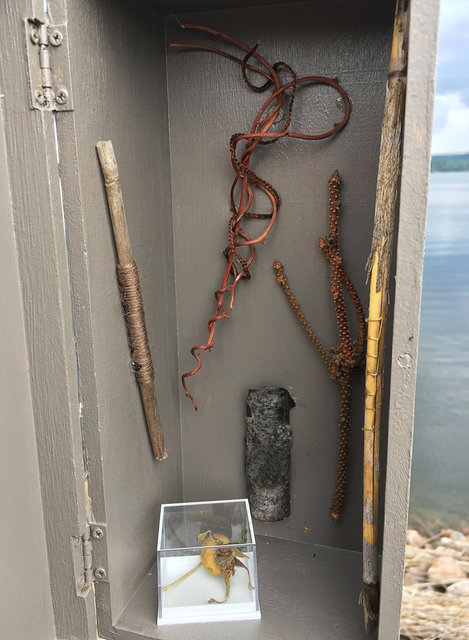 Cabinet of natural (Sjuhäradsrundan) memories