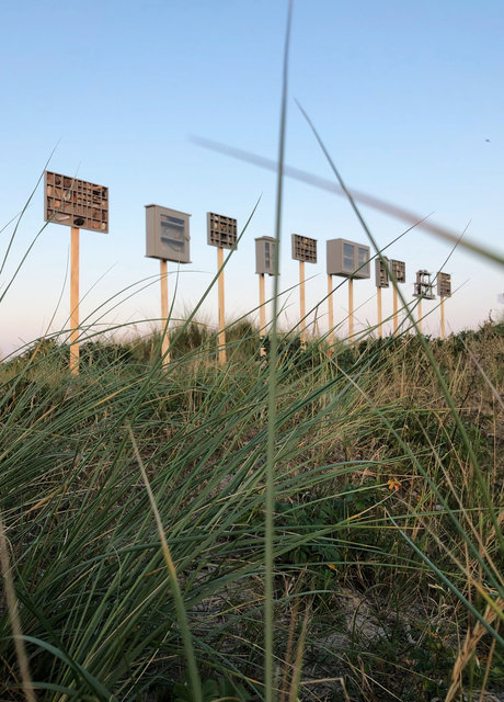 Cabinet of natural (Vadehavet) memories