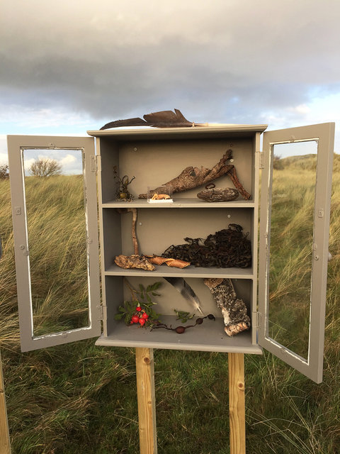 Cabinet of natural (Ameland) memories