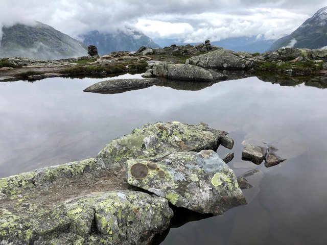 Symbiosis 2 Norway