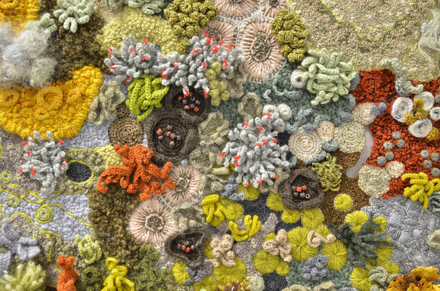 Symbiosis