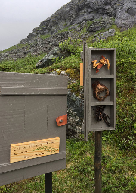 Cabinet of natural (Rauma) memories, 2017