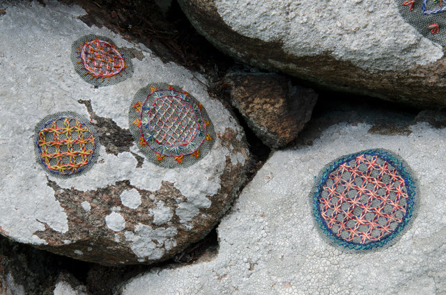 Symbiosis in Hallandsöm