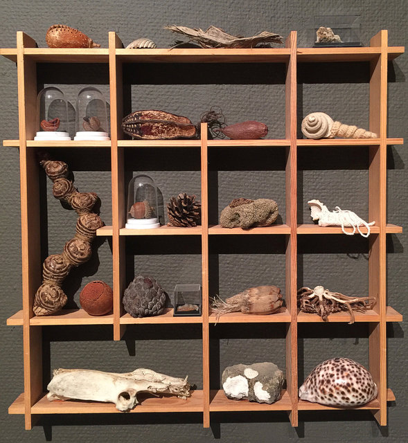 Cabinet of natural memories