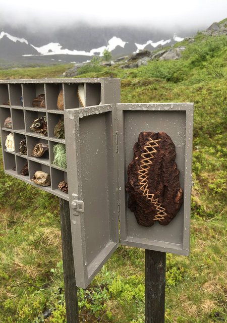 Cabinet of natural (Rauma) memories, 2017