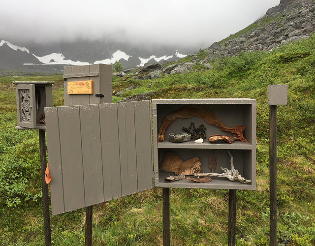 Cabinet of natural (Rauma) memories, 2017