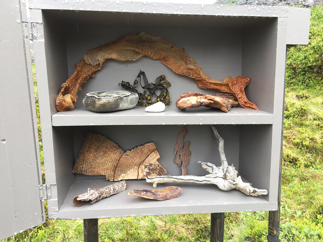 Cabinet of natural (Rauma) memories, 2017