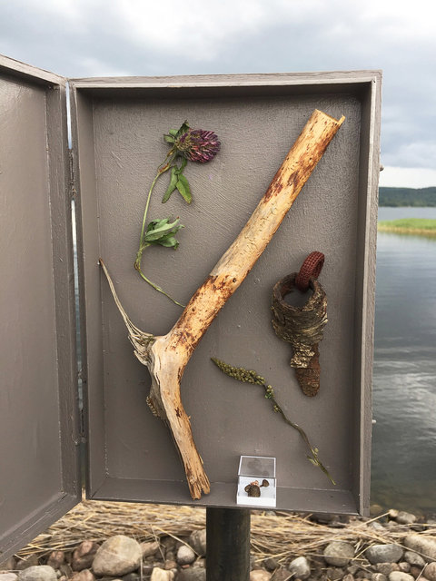 Cabinet of natural (Sjuhäradsrundan) memories