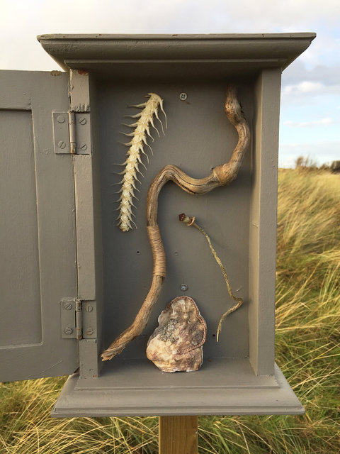 Cabinet of natural (Ameland) memories