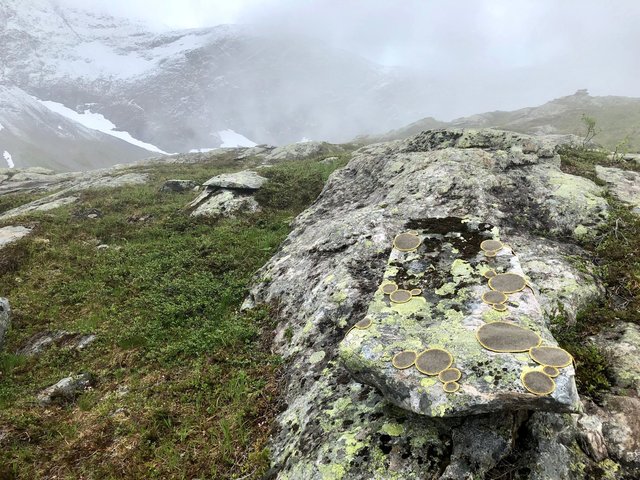 Symbiosis 2 Norway