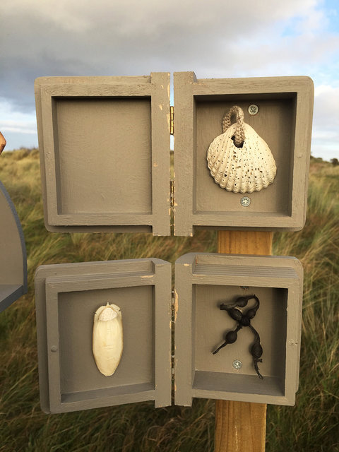 Cabinet of natural (Ameland) memories