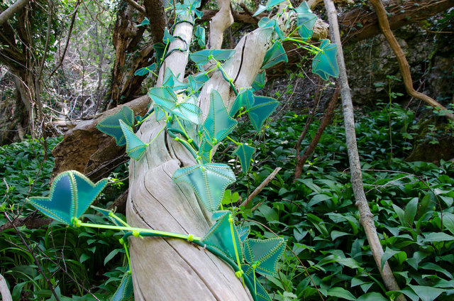 Rindi (Hedera Helix) plastica