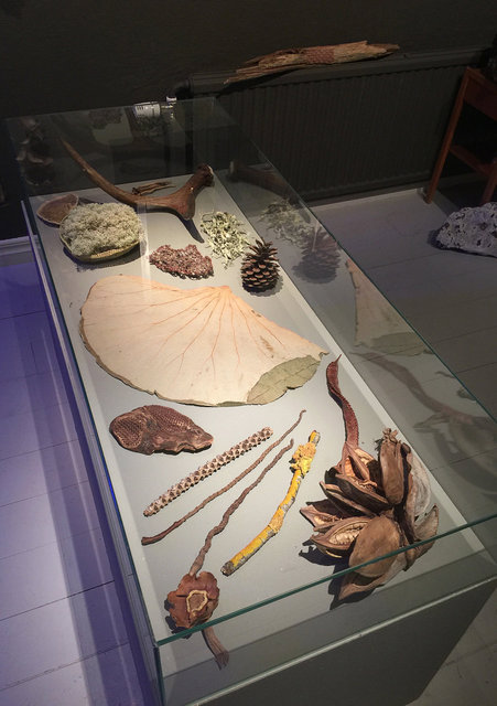 Cabinet of natural memories